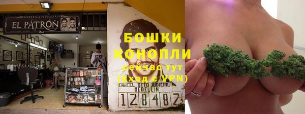PSILOCYBIN Остров