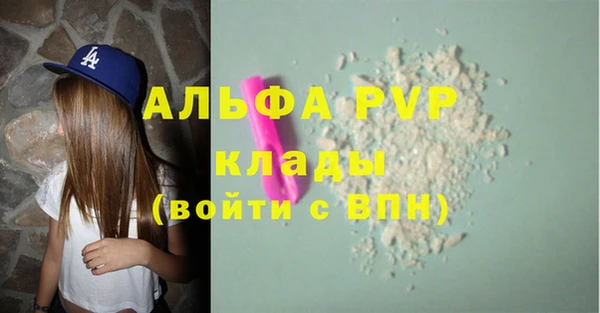 гашик Осташков
