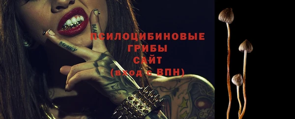PSILOCYBIN Остров