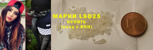гашик Осташков