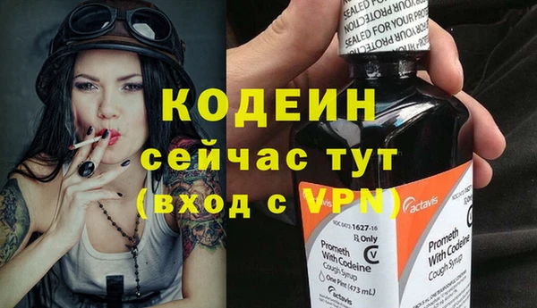 гашик Осташков