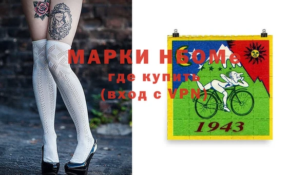 гашик Осташков
