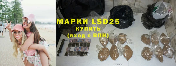 гашик Осташков