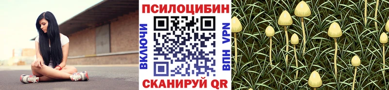 Псилоцибиновые грибы Psilocybe  Ува 
