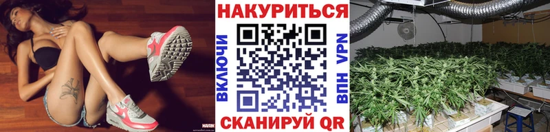 как найти   Ува  МАРИХУАНА гибрид 
